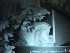 films lovebirds having sex at night outside in clothing
