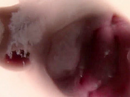 japanese kiss pov