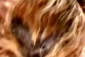 lady-man Or Rather Trans girl three - Scene 1