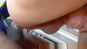t-girl Trans In stockings receives wangsucked By manica2