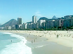 traicao quase perfeita