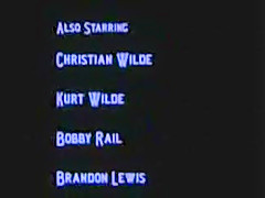 wilde bunch